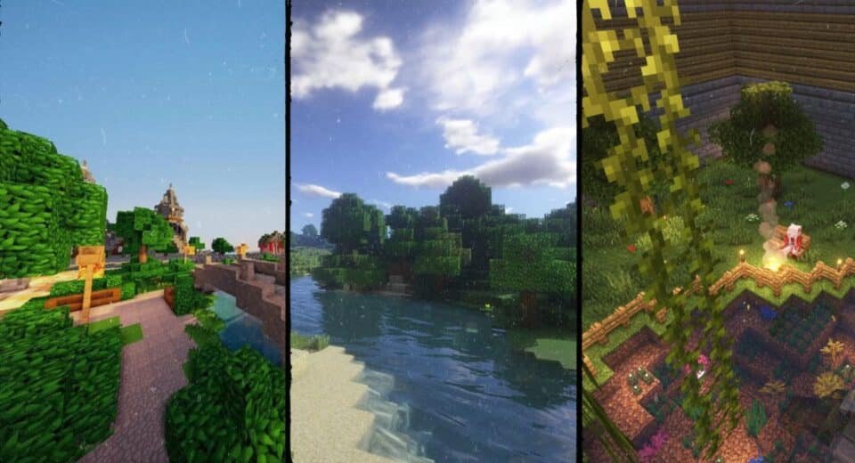 Shaders