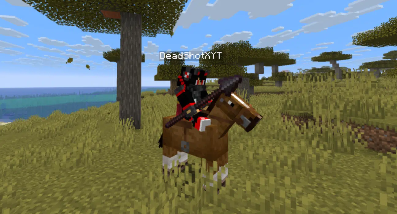 Minecraft Spear